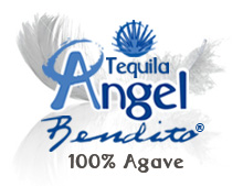 Angel Logo