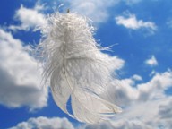 Angel Feather